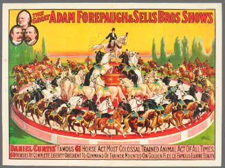 The Great Adam Forepaugh & Sells Brothers Shows: Daniel Curtis' Famous 61 Horses Act.
