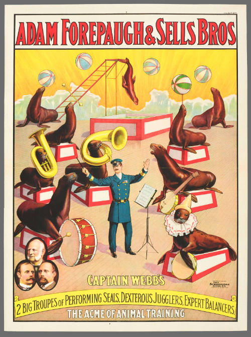 Adam Forepaugh & Sells Brothers: Captain Webb's 2 Big Troupes of Performing Seals