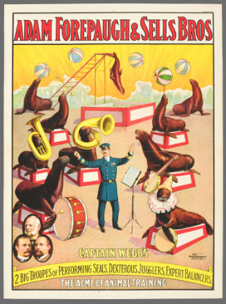 Adam Forepaugh & Sells Brothers: Captain Webb's 2 Big Troupes of Performing Seals