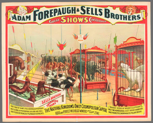 Adam Forepaugh & Sells Brothers Great Shows Consolidated: The Natural Kingdom's Only Cosmopolitan Capital