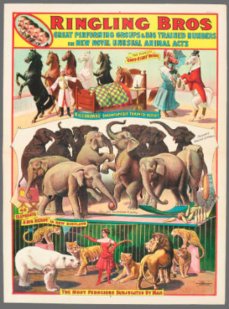 Ringling Bros: Great Performing Groups & Big Trained Numbers in New Novel Unusual Animal Acts