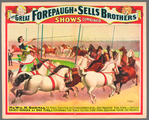 The Great Forepaugh & Sells Brothers Great Shows Combined: Mr. Wm. H. Gorman, the Heroic Horseman in a Splendid Exemplification of Horse Management