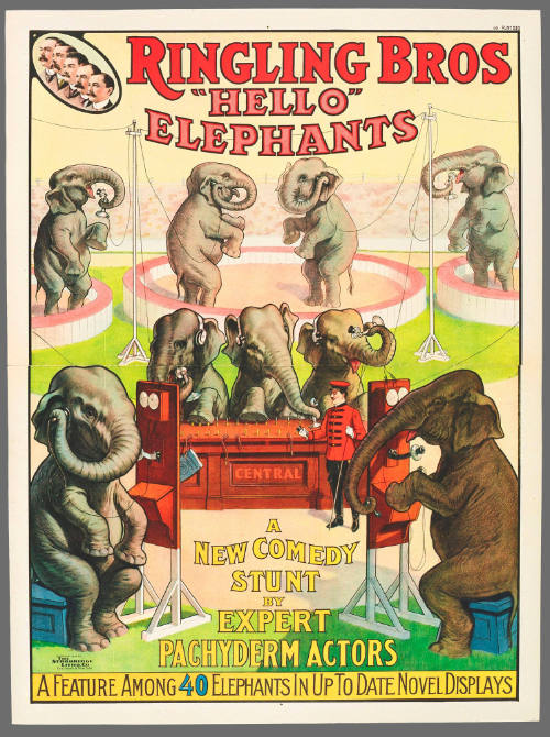 Ringling Bros: "Hello" Elephants / A New Comedy Stunt by Expert Pachyderm Actors
