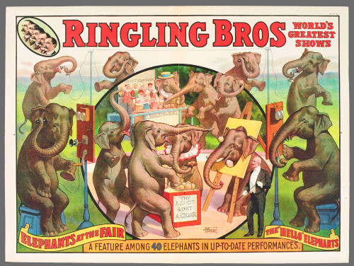 Ringling Bros: Elephants at the Fair