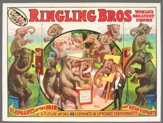 Ringling Bros: Elephants at the Fair