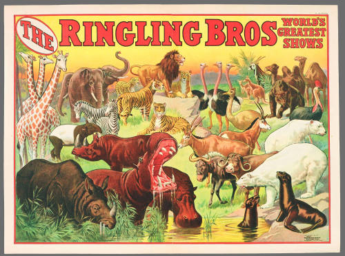 The Ringling Bros World's Greatest Shows
