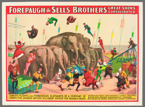 Forepaugh & Sells Brothers Great Shows Consolidated: Terrific Flights Over Ponderous Elephants by a Company of Twenty Five Splendid Artists in a Great Contest for Valuable Prizes