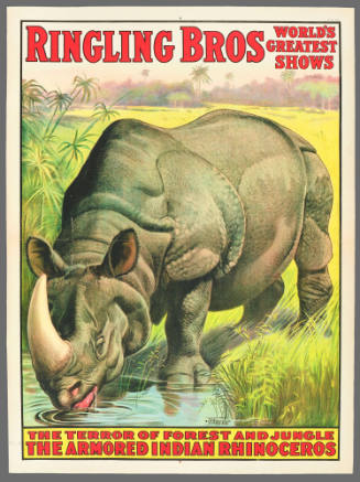Ringling Bros: The Terror of the Forest and Jungle / The Armored Indian Rhinoceros