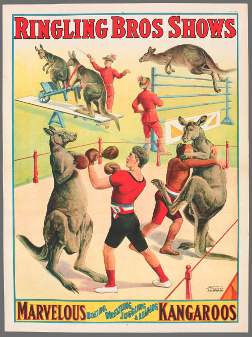 Ringling Bros: Marvelous Boxing, Wrestling, Juggling & Leaping Kangaroos