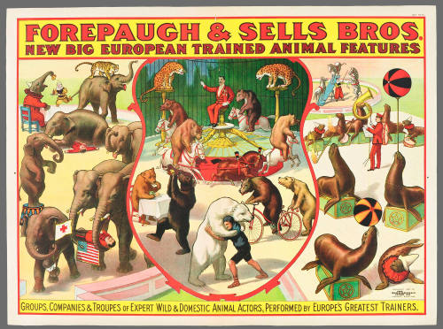 Forepaugh & Sells Bros: New Big European Trained Animal Features