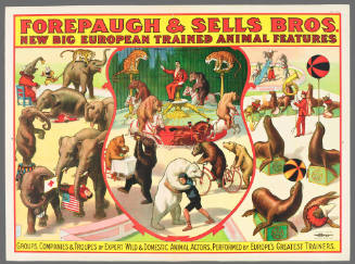 Forepaugh & Sells Bros: New Big European Trained Animal Features
