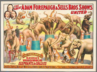 The Great Adam Forepaugh & Sells Bros Shows United: Kassell's Wonder Working Elephants & Collies