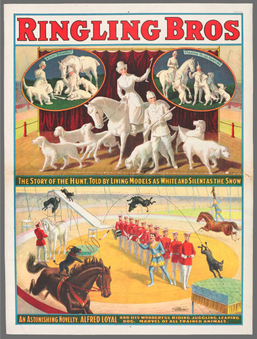 Ringling Bros: "The Story of the Hunt." Told by Living Models as White and Silent as the Snow / An Astonishing Novelty. Alfred Loyal