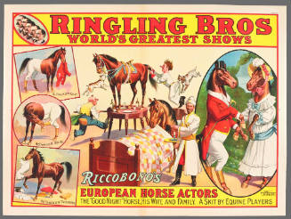 Ringling Bros: Riccobono's European Horse Actors