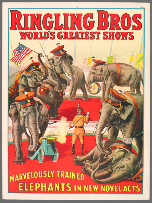 Ringling Bros: Marvelously Trained Elephants in New Novel Acts