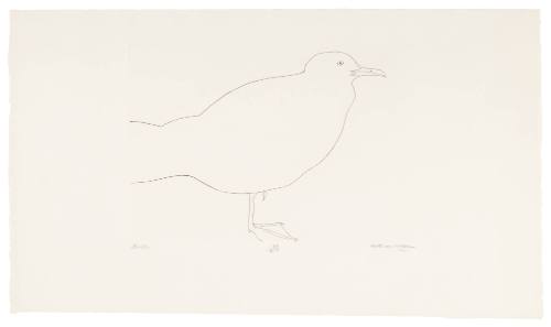 Gull