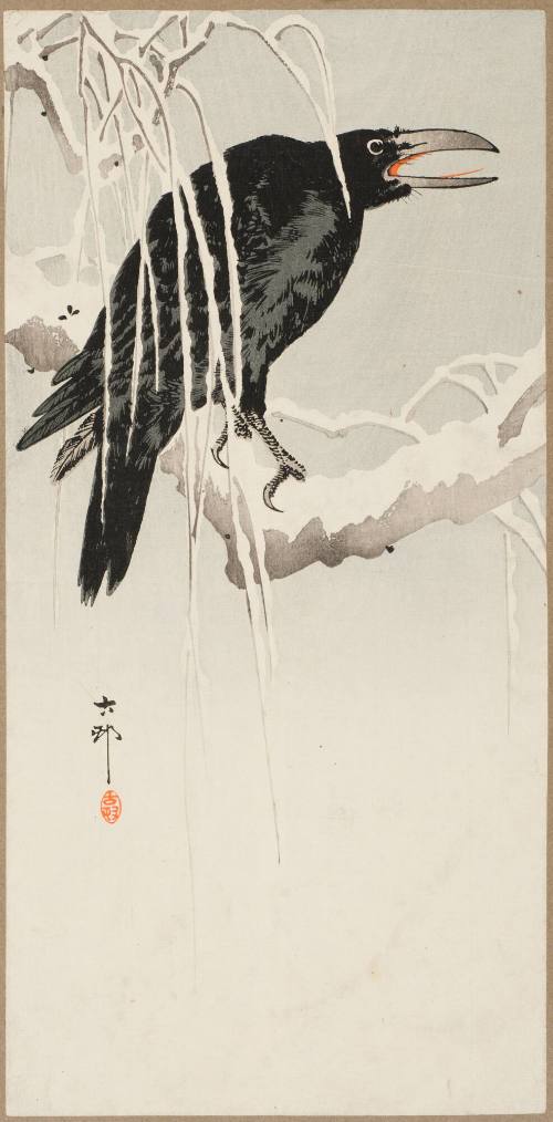 Crow on Snowy Branch