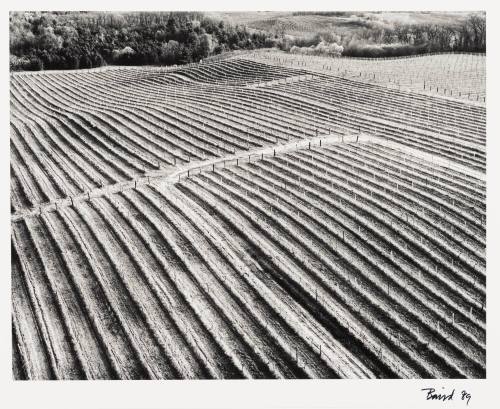 Flights from Mattawan Michigan