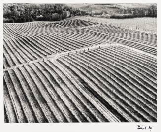 Flights from Mattawan Michigan