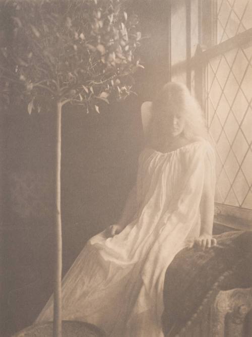 Woman in White Seated Next to Window, Orange Tree at Left