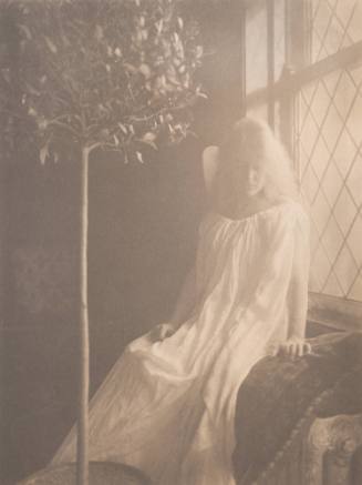 Woman in White Seated Next to Window, Orange Tree at Left