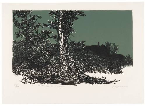 Frank Eckmair