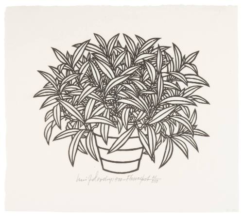 Flower Pot