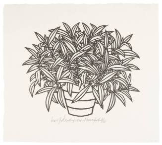 Flower Pot