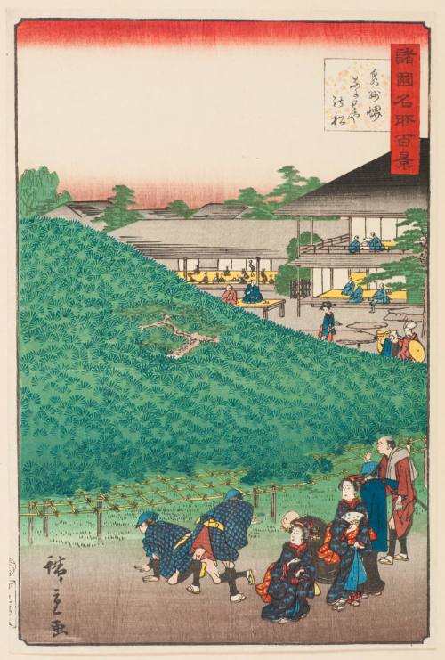 Pine Tree at Naniwa Garden, Sakai in Shenshū (Izumi) Province  (Senshū Sakai Naniwaya no matsu)