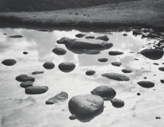 Alpine Pond, Colorado