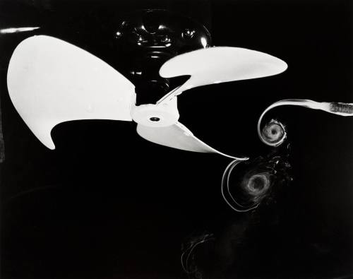 Fan and Smoke Vortices