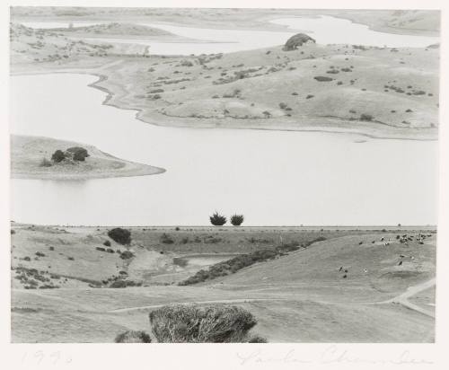 Near Nicasio, California