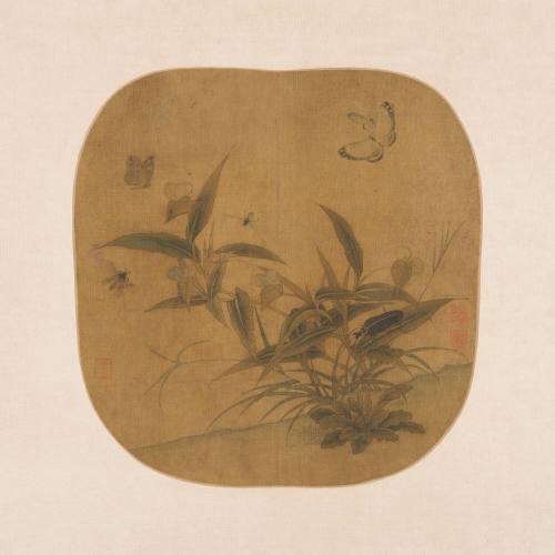 Butterflies, Insects and Autumn Plants