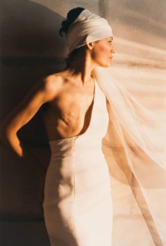 Beauty Out of Damage