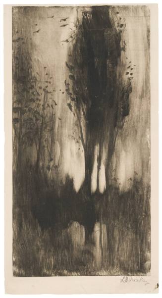 Trees and Reflection