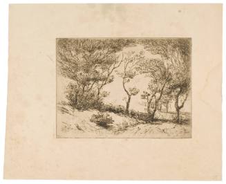 The Willows