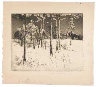 Woodland Shadows