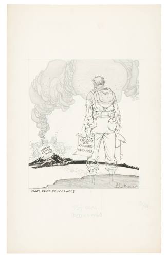 What Price Democracy?