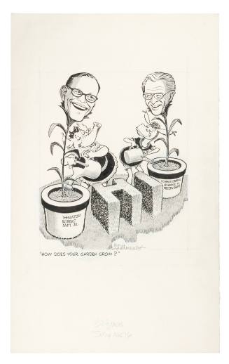 How Does Your Garden Grow?