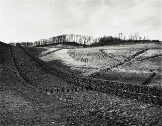 Landscape #58, Kentucky