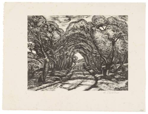 Annisquam Willows III