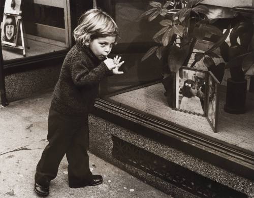 Untitled (Boy and Store Front Window)