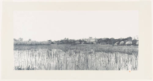 Diary: April 4th '87 in Ueno