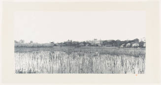 Diary: April 4th '87 in Ueno
