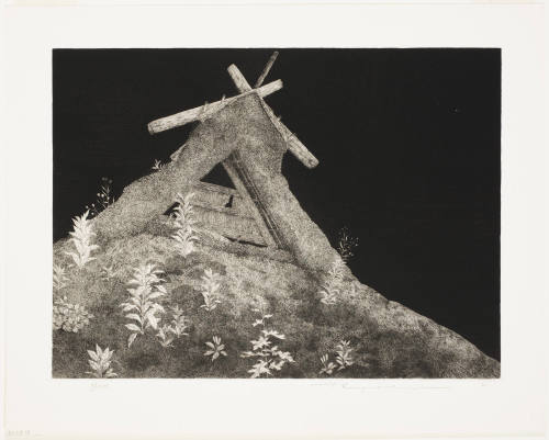 Roof with Growing Grasses