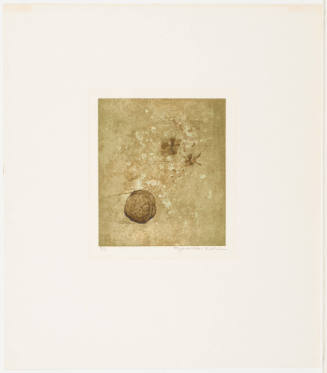 Walnut