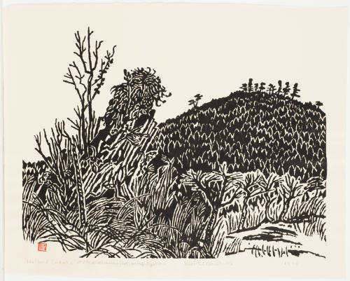 Halbert Cedars at Mt. Kirishima Hot Spring, Kyushu