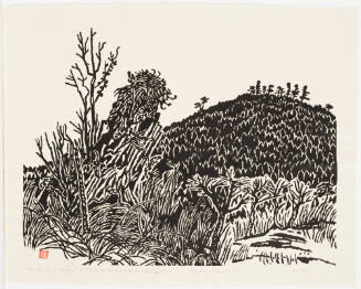 Halbert Cedars at Mt. Kirishima Hot Spring, Kyushu