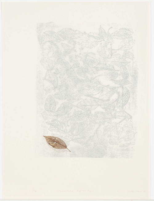 Paper Between Leaf and Fossil