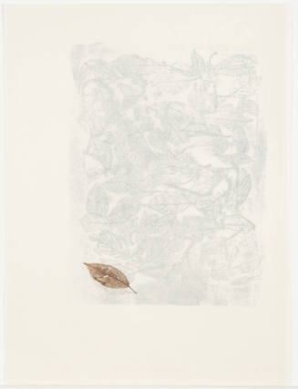 Paper Between Leaf and Fossil